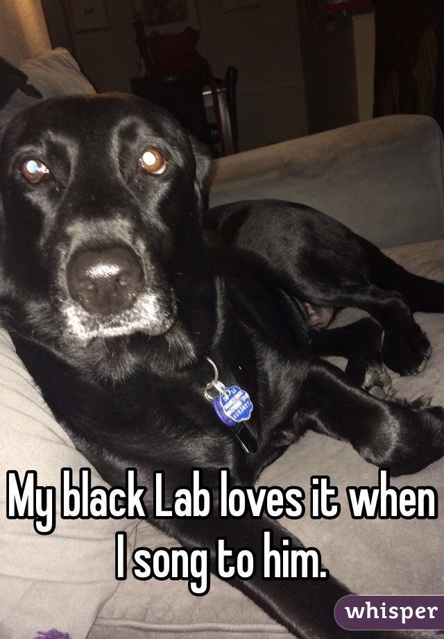 My black Lab loves it when I song to him. 