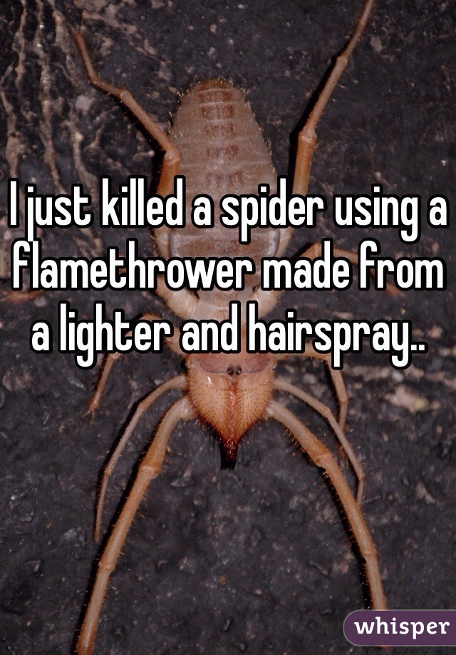 I just killed a spider using a flamethrower made from a lighter and hairspray.. 
