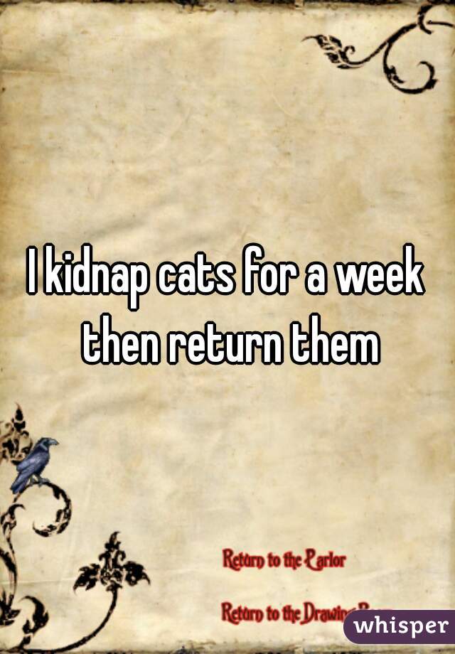 I kidnap cats for a week then return them