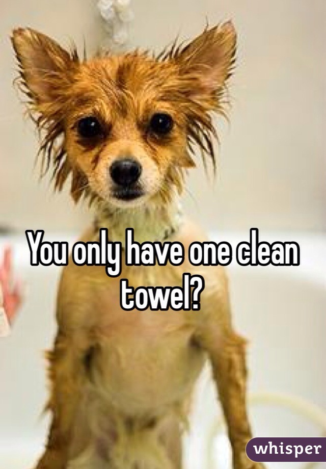 You only have one clean towel?