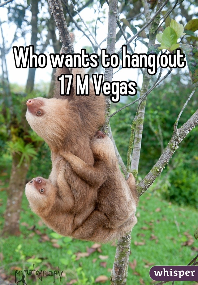 Who wants to hang out 
17 M Vegas 