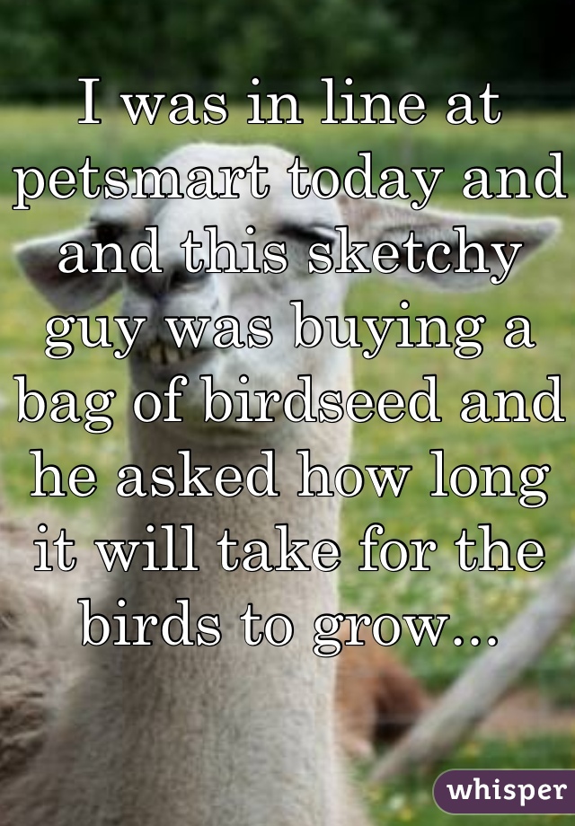 I was in line at petsmart today and  and this sketchy guy was buying a bag of birdseed and he asked how long it will take for the birds to grow...
