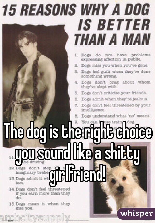 The dog is the right choice you sound like a shitty girlfriend! 