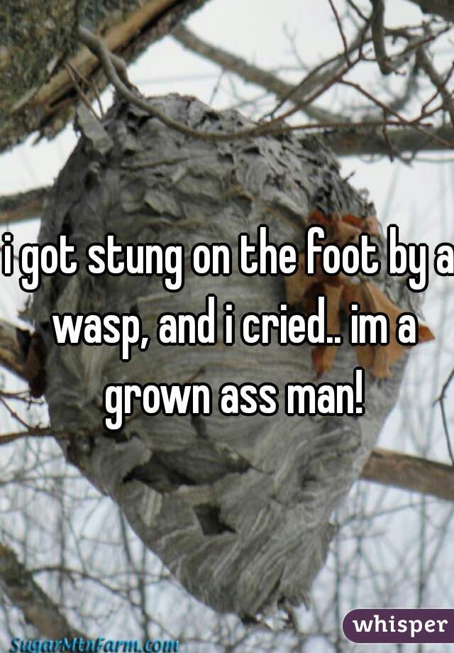 i got stung on the foot by a wasp, and i cried.. im a grown ass man!