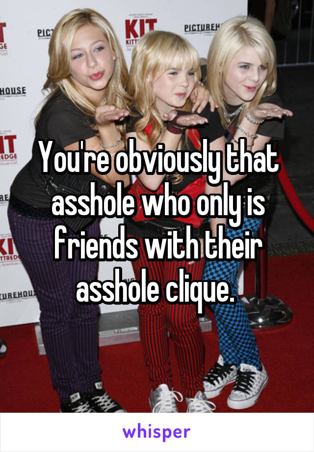 You're obviously that asshole who only is friends with their asshole clique. 