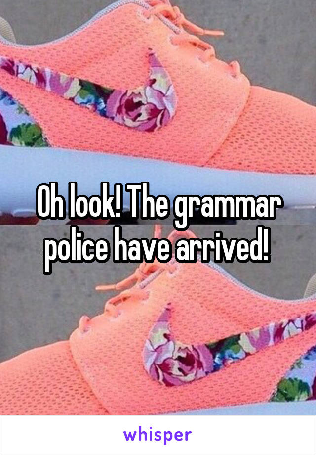 Oh look! The grammar police have arrived! 