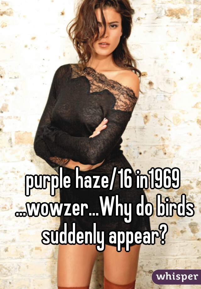 purple haze/16 in1969 ...wowzer...Why do birds suddenly appear?