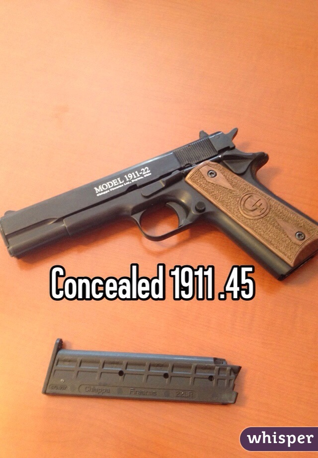 Concealed 1911 .45