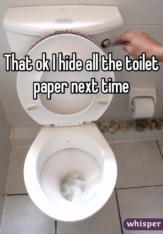 That ok I hide all the toilet paper next time 