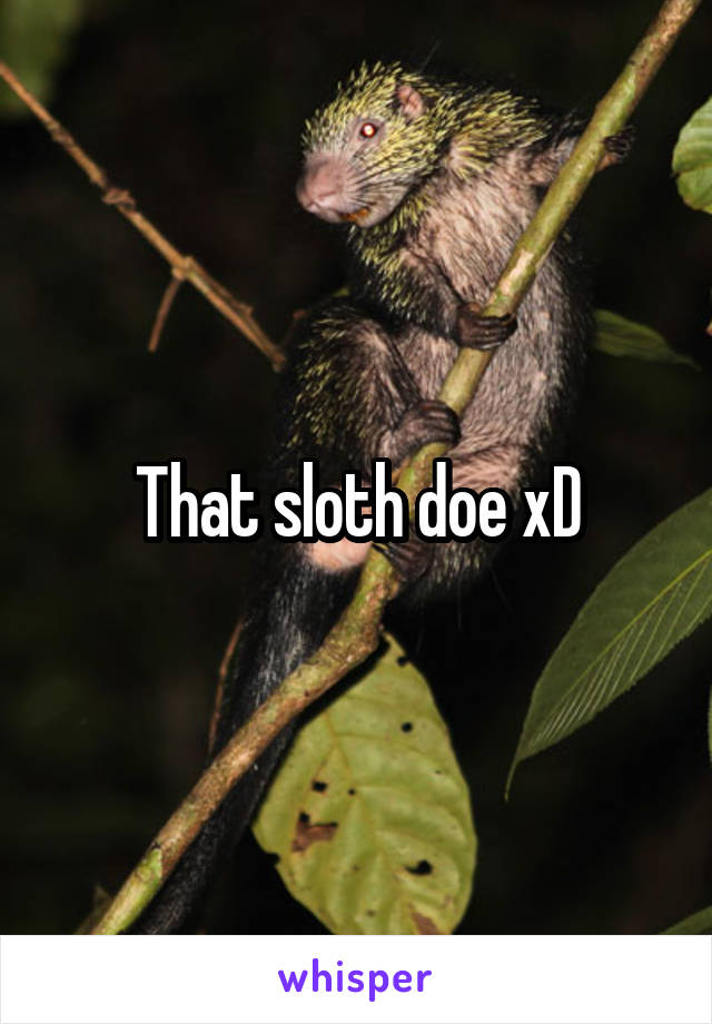 That sloth doe xD