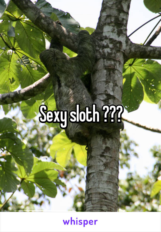 Sexy sloth 😘😂👌