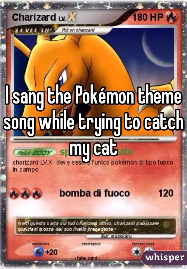I sang the Pokémon theme song while trying to catch my cat 