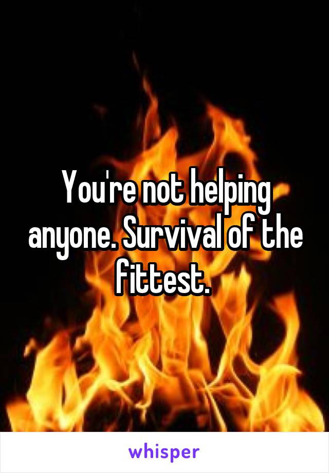 You're not helping anyone. Survival of the fittest. 