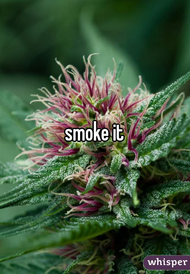 smoke it