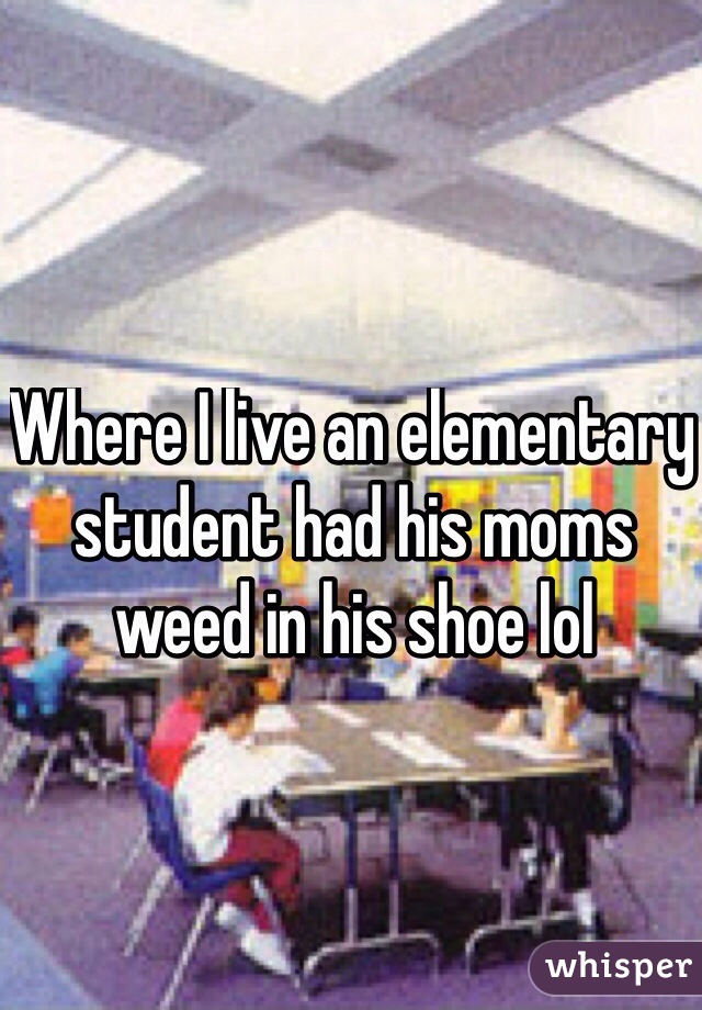 Where I live an elementary student had his moms weed in his shoe lol 