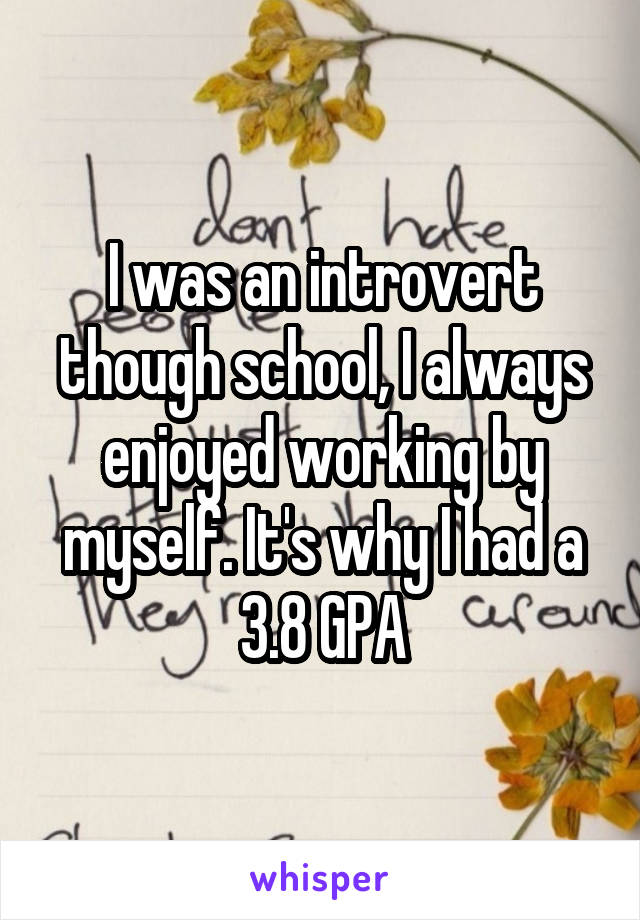I was an introvert though school, I always enjoyed working by myself. It's why I had a 3.8 GPA
