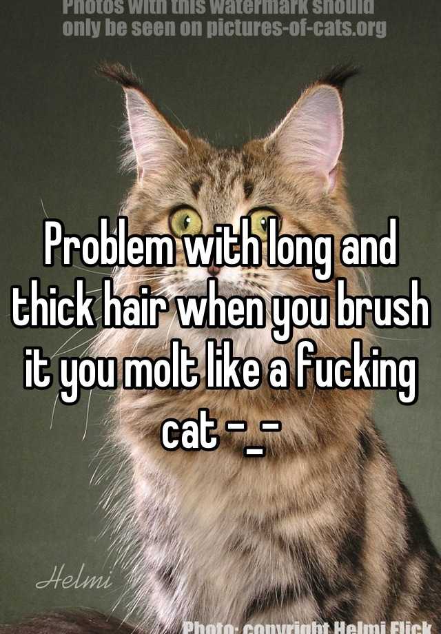 Problem with long and thick hair when you brush it you molt like a fucking cat -_-