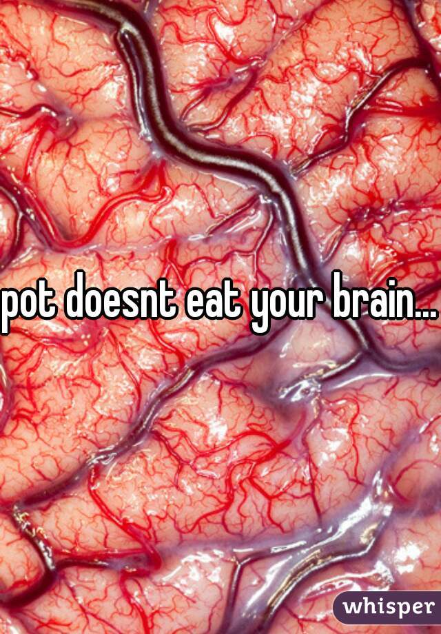 pot doesnt eat your brain...