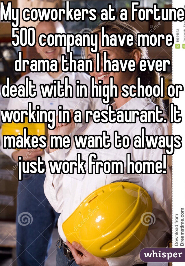 My coworkers at a Fortune 500 company have more drama than I have ever dealt with in high school or working in a restaurant. It makes me want to always just work from home!  