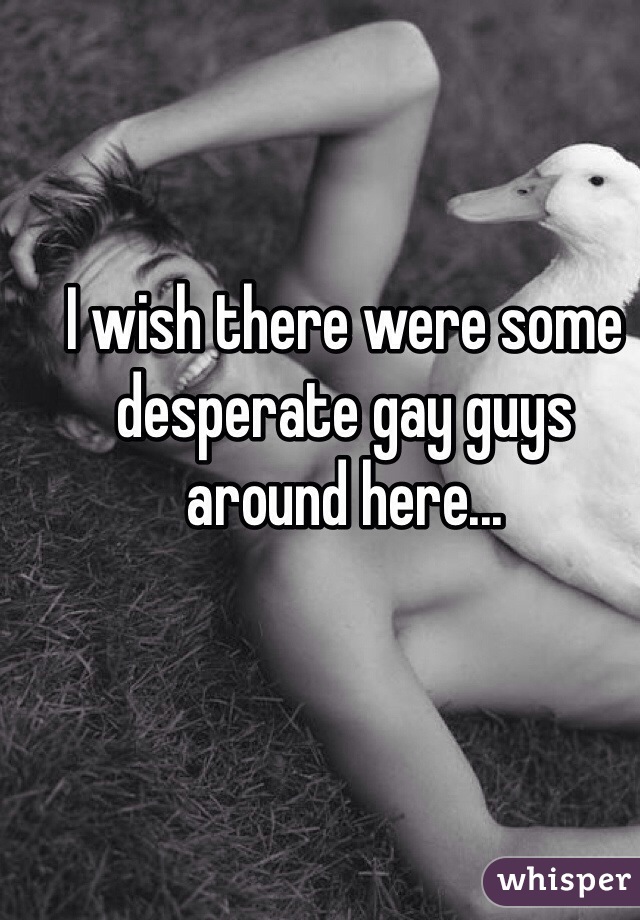 I wish there were some desperate gay guys around here...
