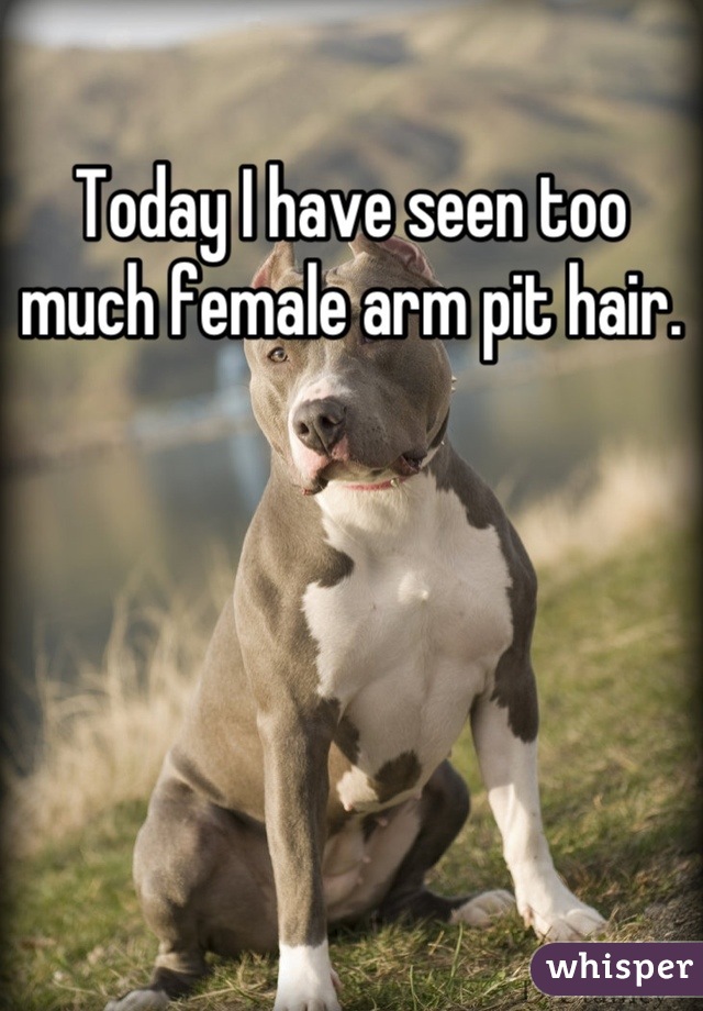 Today I have seen too much female arm pit hair.