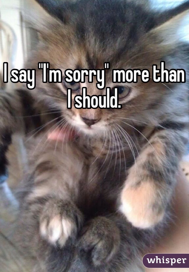 I say "I'm sorry" more than I should.
