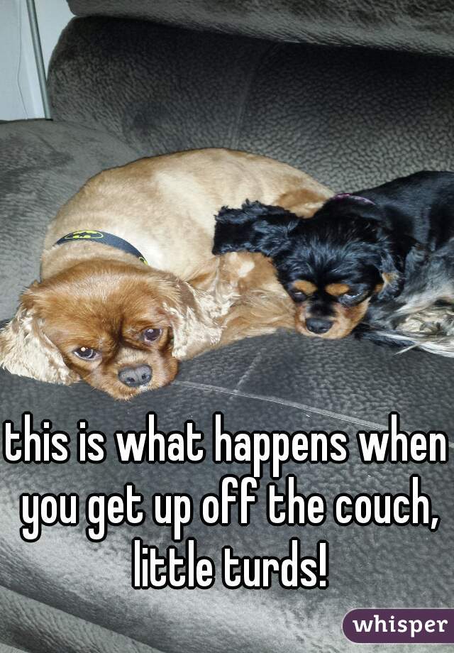 this is what happens when you get up off the couch, little turds!