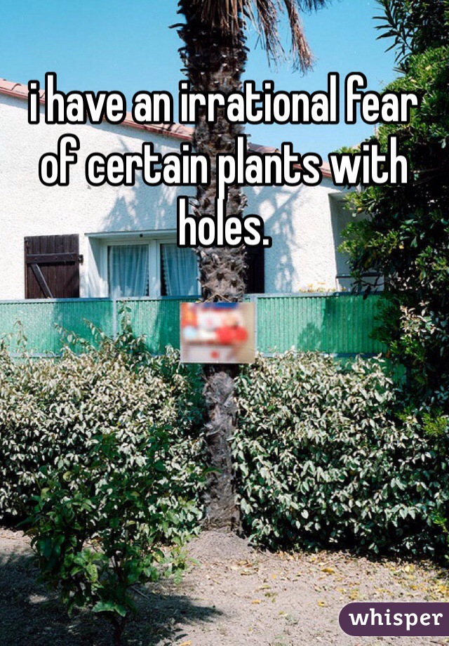 i have an irrational fear of certain plants with holes.