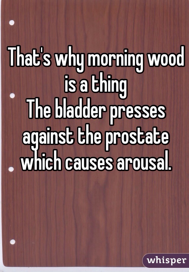 That's why morning wood is a thing
The bladder presses against the prostate which causes arousal.