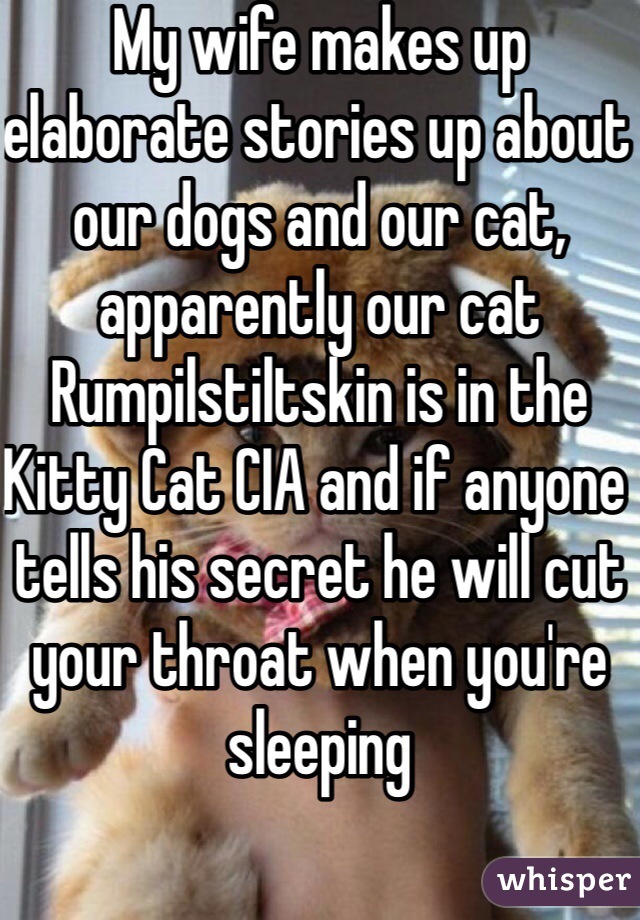 My wife makes up elaborate stories up about our dogs and our cat, apparently our cat Rumpilstiltskin is in the Kitty Cat CIA and if anyone tells his secret he will cut your throat when you're sleeping