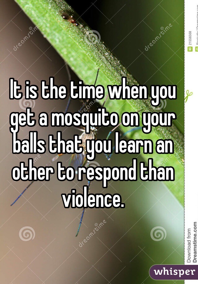 It is the time when you get a mosquito on your balls that you learn an other to respond than violence. 