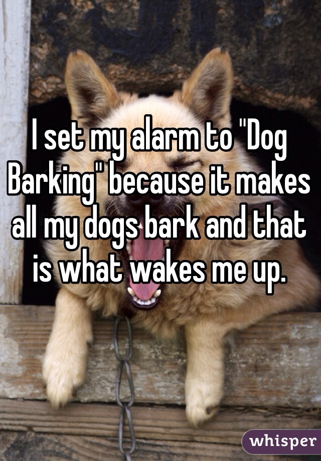 I set my alarm to "Dog Barking" because it makes all my dogs bark and that is what wakes me up. 
