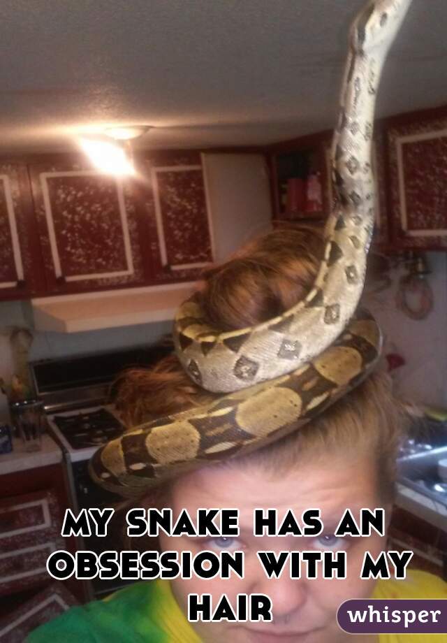 my snake has an obsession with my hair