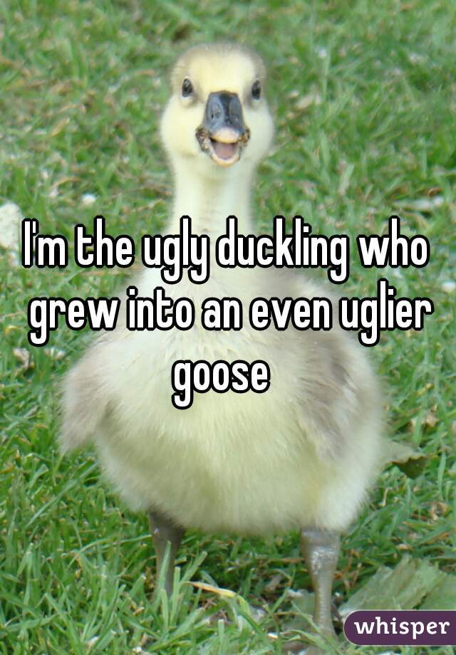 I'm the ugly duckling who grew into an even uglier goose  