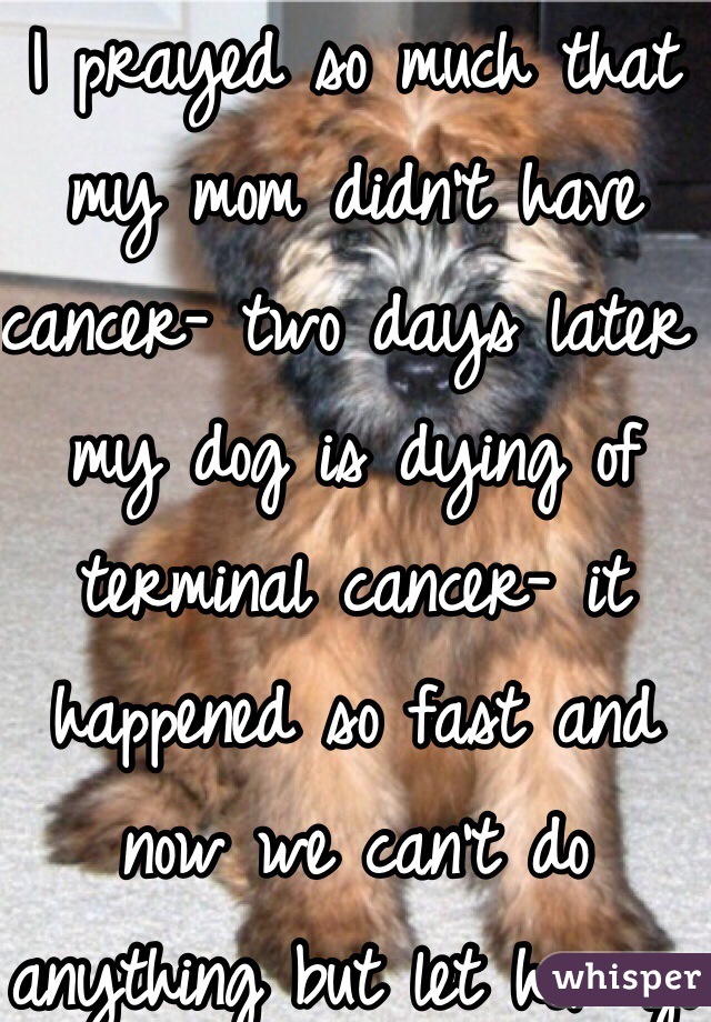 I prayed so much that my mom didn't have cancer- two days later my dog is dying of terminal cancer- it happened so fast and now we can't do anything but let her go