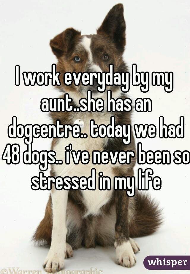 I work everyday by my aunt..she has an dogcentre.. today we had 48 dogs.. i've never been so stressed in my life