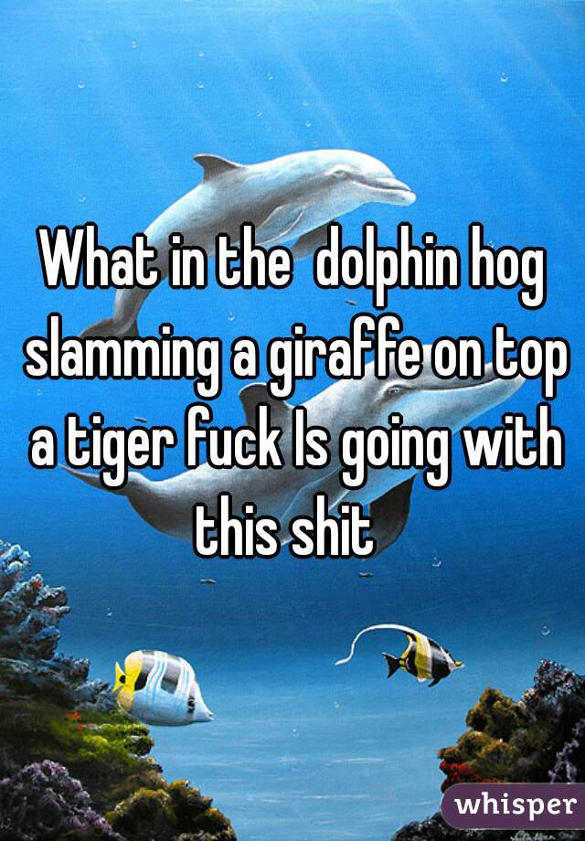 What in the  dolphin hog slamming a giraffe on top a tiger fuck Is going with this shit  