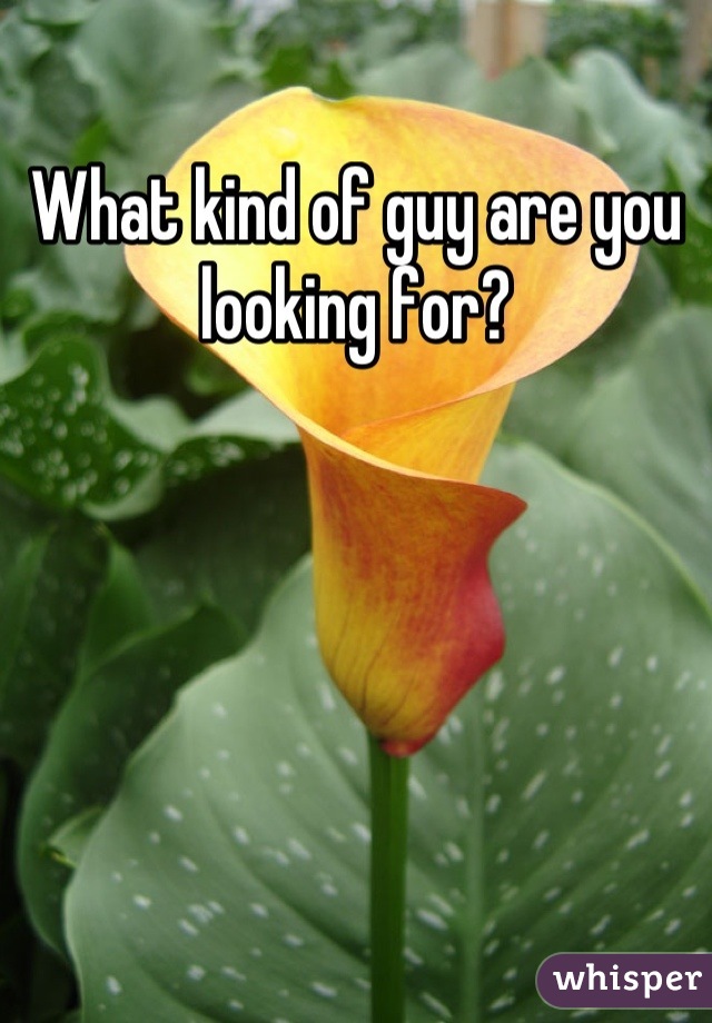 What kind of guy are you looking for?