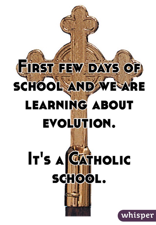 First few days of school and we are learning about evolution.

It's a Catholic school.