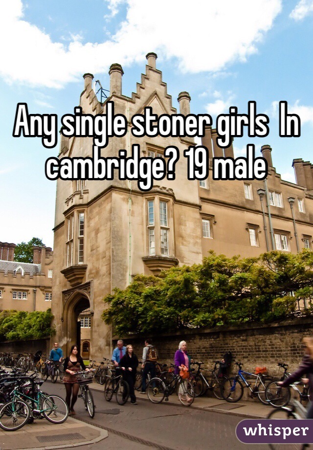 Any single stoner girls  ln cambridge? 19 male 