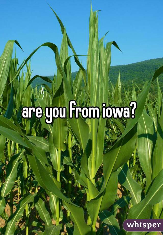 are you from iowa? 