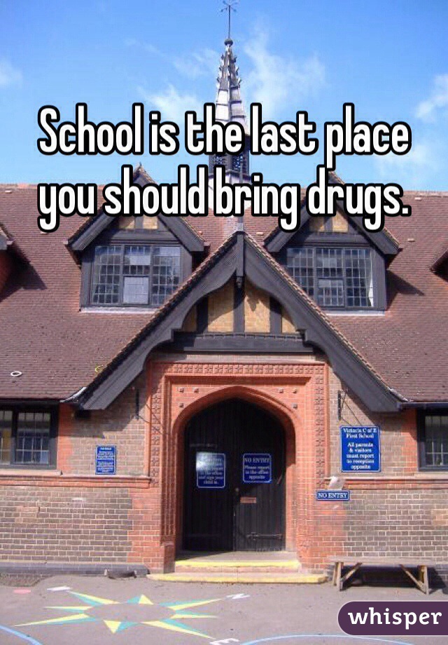 School is the last place you should bring drugs.