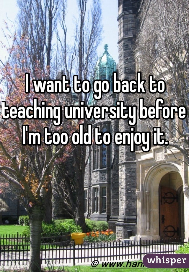 I want to go back to teaching university before I'm too old to enjoy it.
