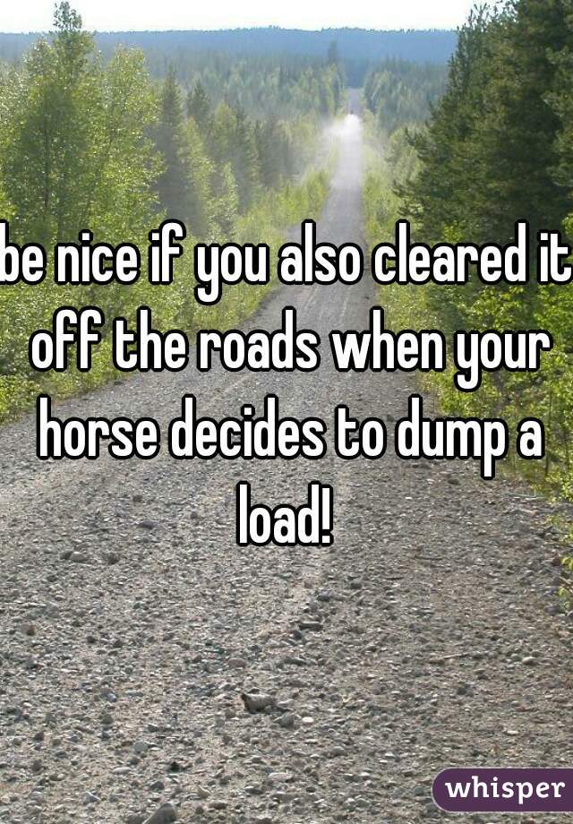 be nice if you also cleared it off the roads when your horse decides to dump a load! 