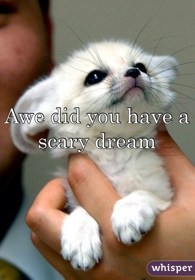Awe did you have a scary dream 