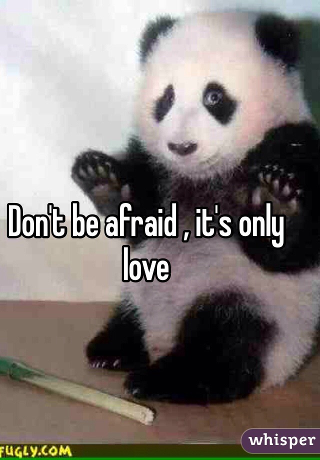 Don't be afraid , it's only love 