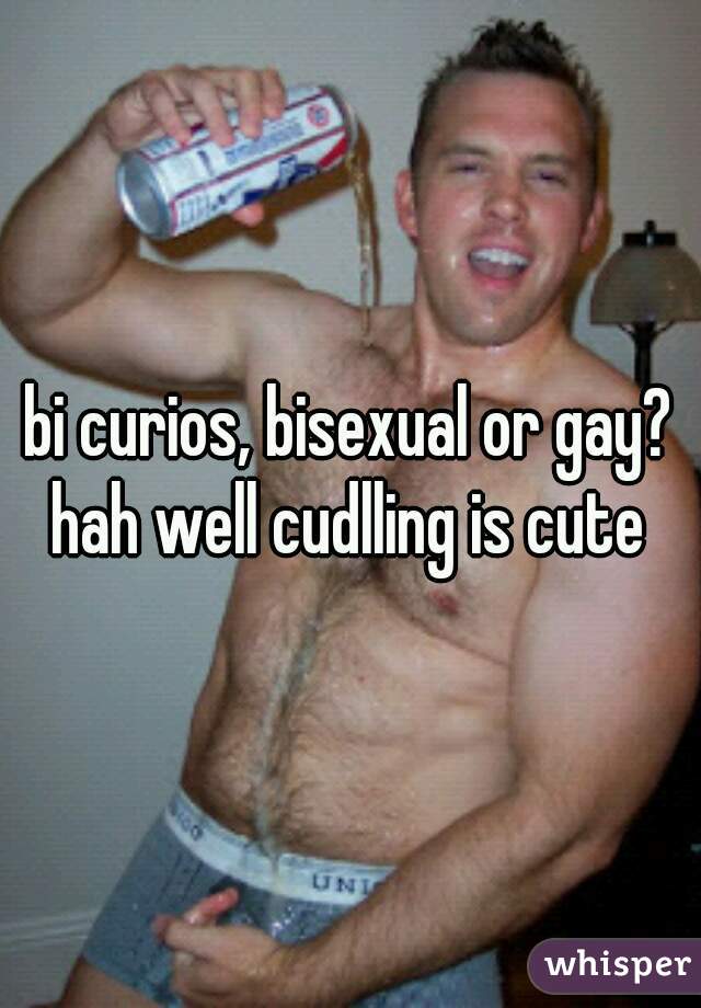 bi curios, bisexual or gay?
hah well cudlling is cute