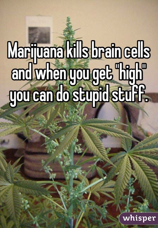 Marijuana kills brain cells and when you get "high" you can do stupid stuff. 