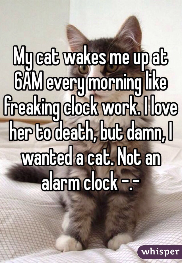 My cat wakes me up at 6AM every morning like freaking clock work. I love her to death, but damn, I wanted a cat. Not an alarm clock -.-