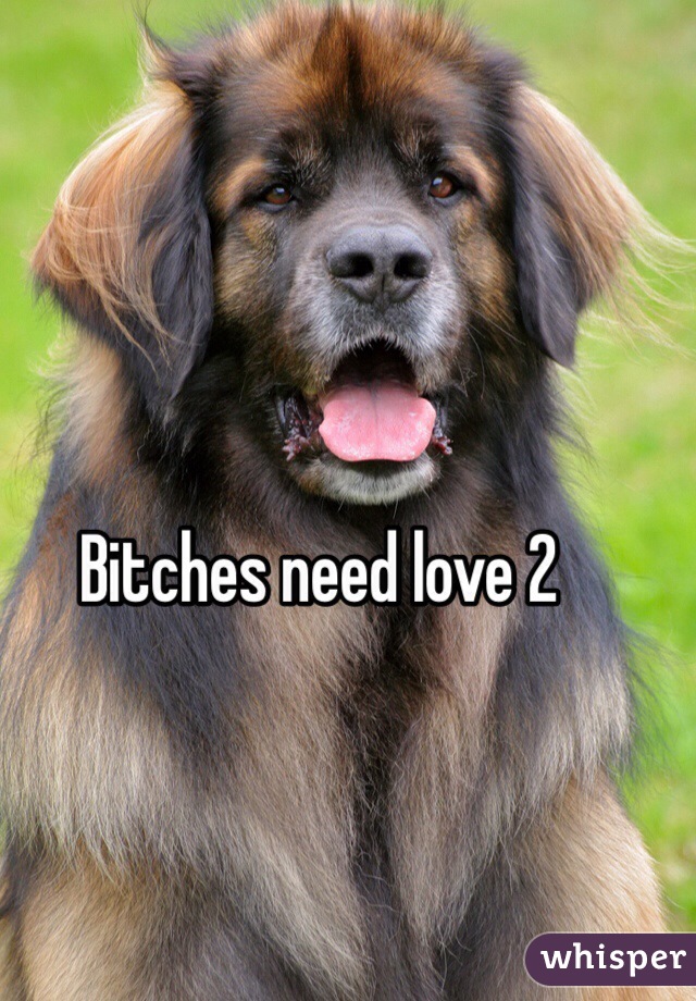 Bitches need love 2